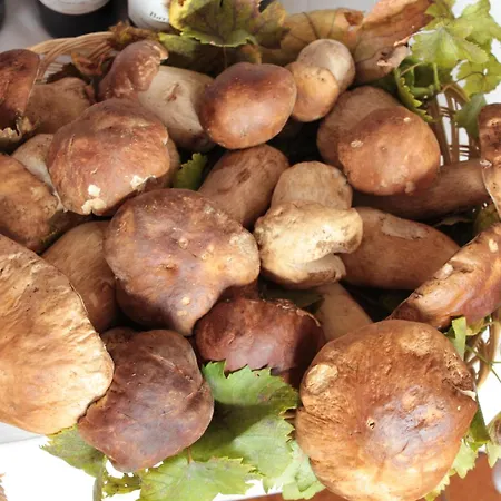 Hotel Cannon D'oro 3*