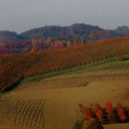 Cannon D'oro 3* Cocconato