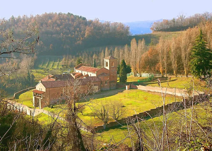 Cannon D'oro Cocconato